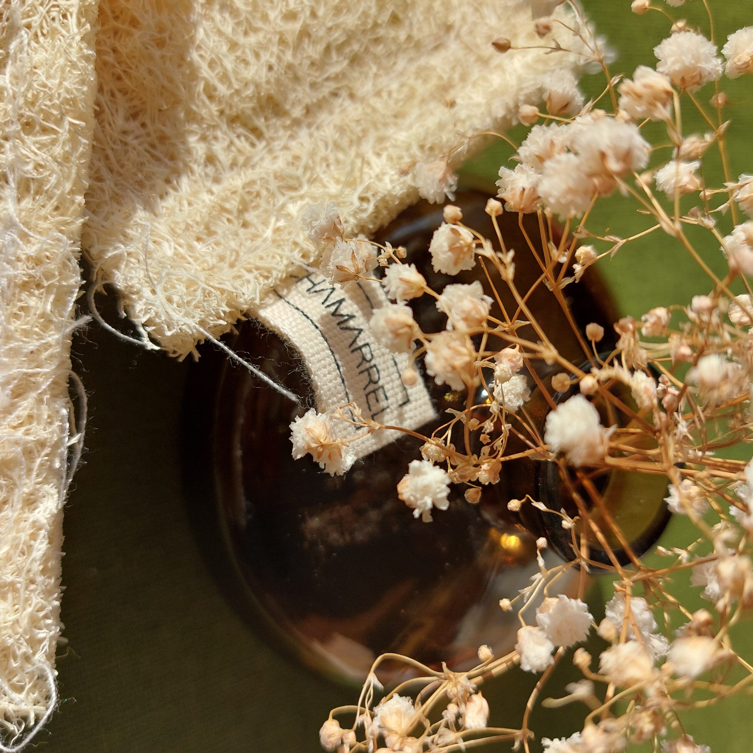 éponge loofah