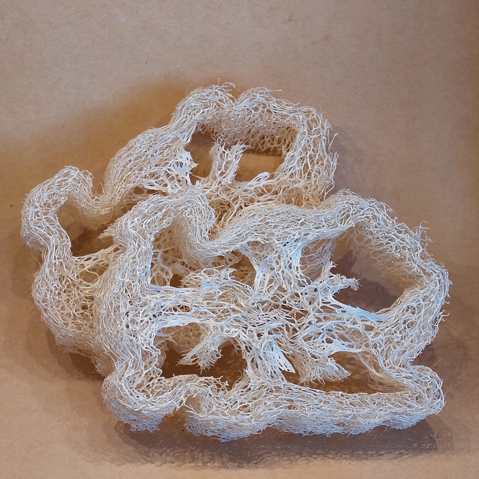 porte savon en loofah